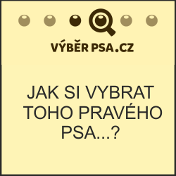 odkaz na web www.vyberpsa.cz formátu 250x250 pixelů