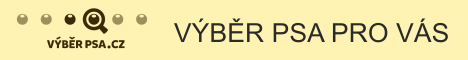 odkaz na web www.vyberpsa.cz formátu 468x60 pixelů, druhá varianta